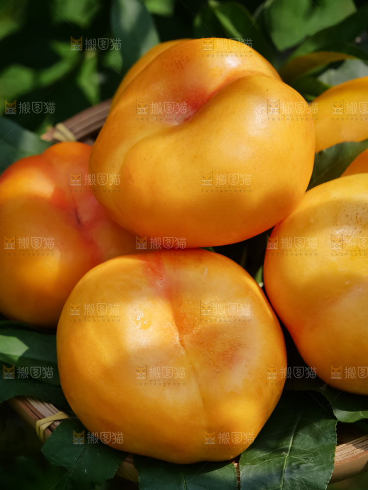黄油蟠桃