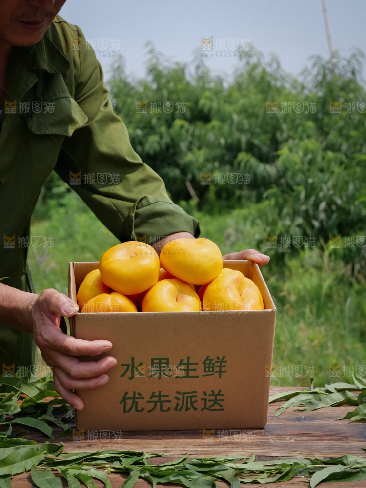 黄油蟠桃