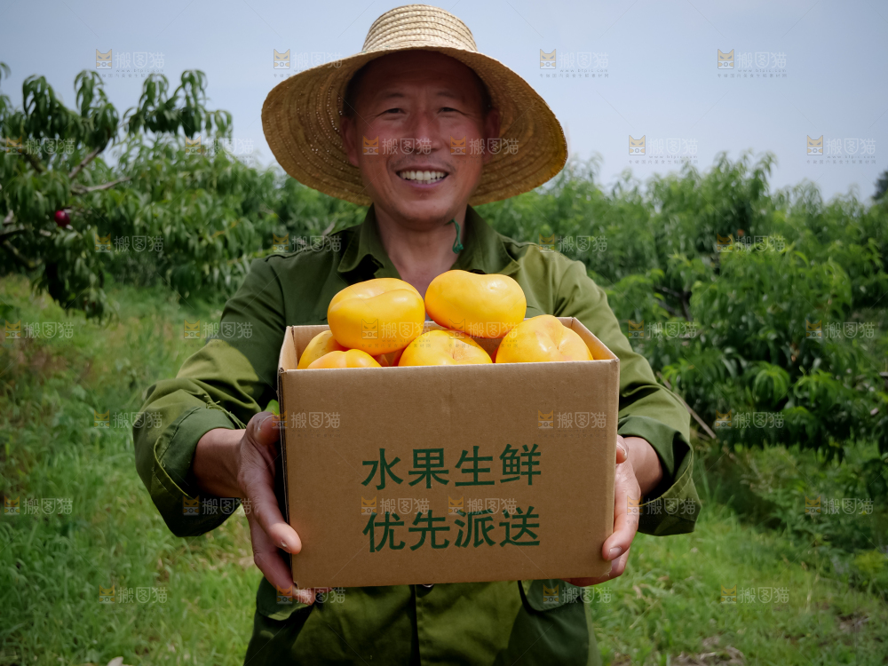 黄油蟠桃