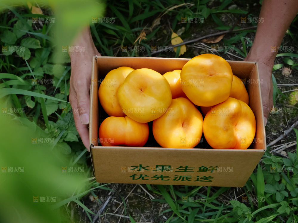 黄油蟠桃