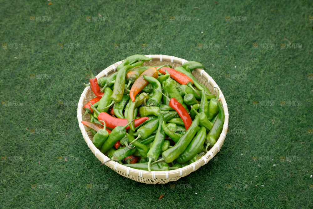 青椒