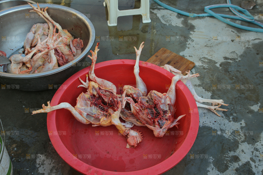 鸡肉