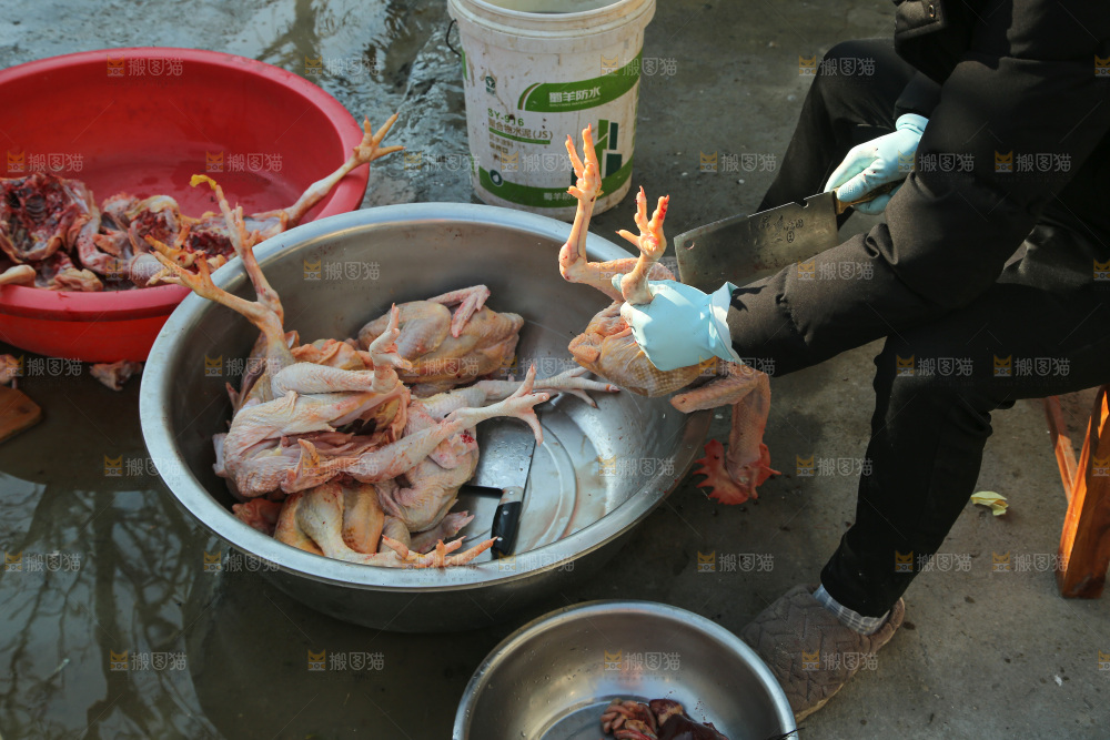 鸡肉