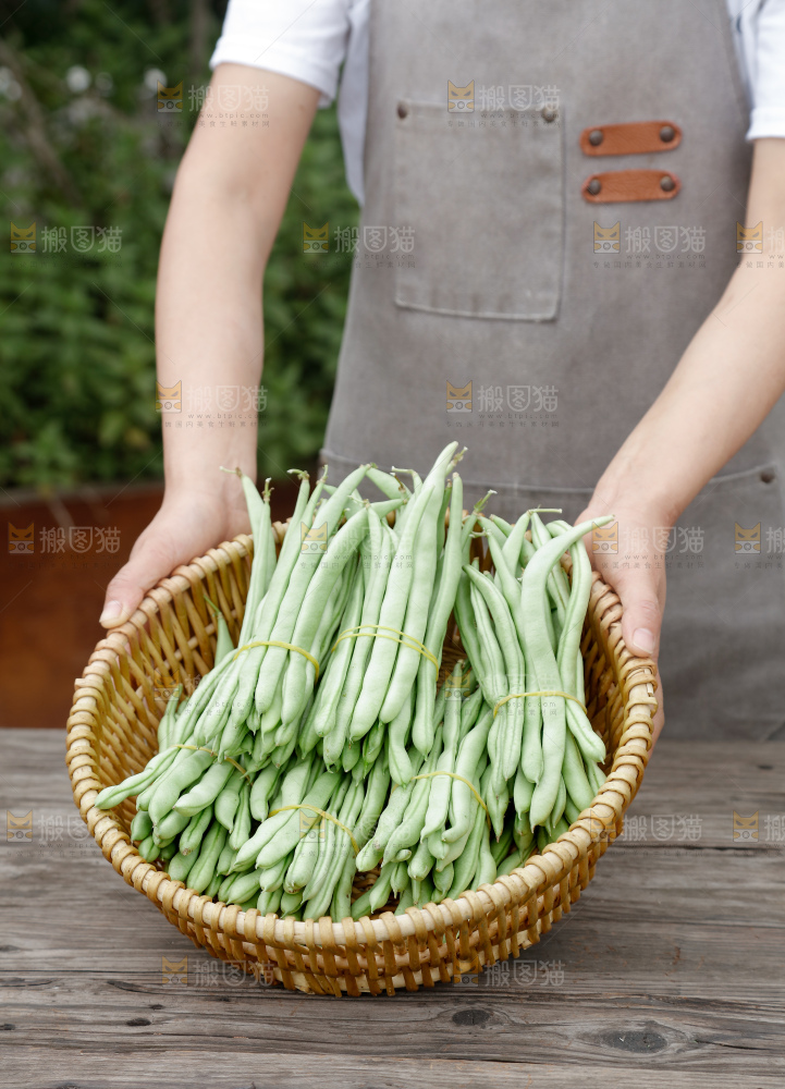 四季豆