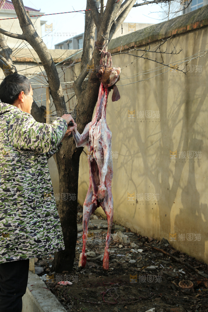 羊肉
