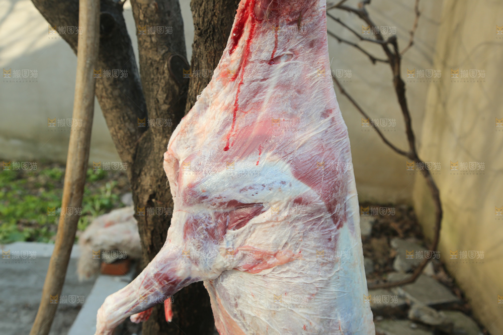 羊肉