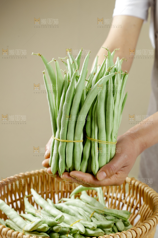 四季豆