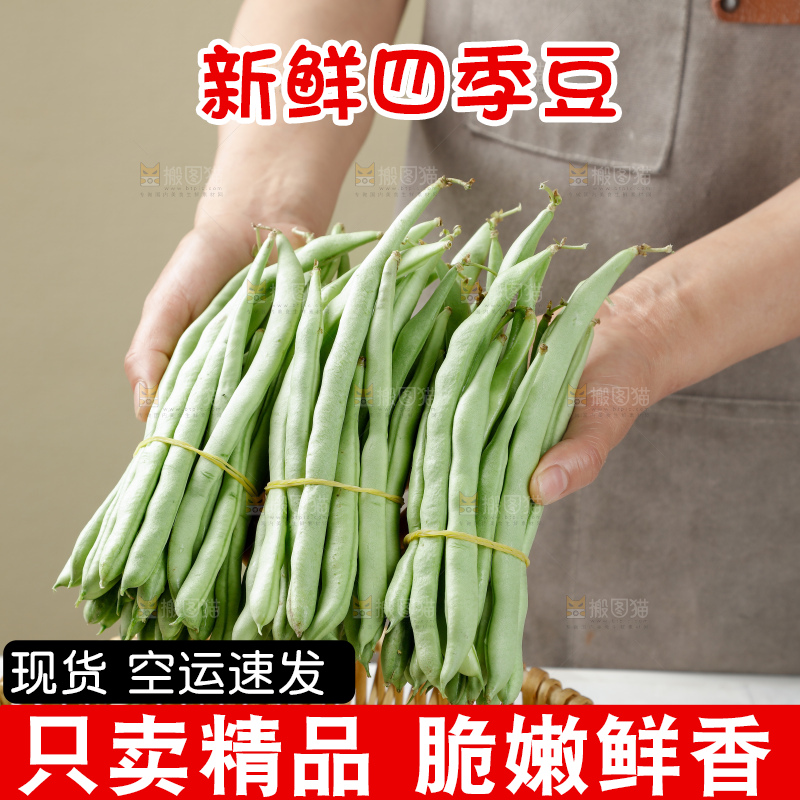 四季豆