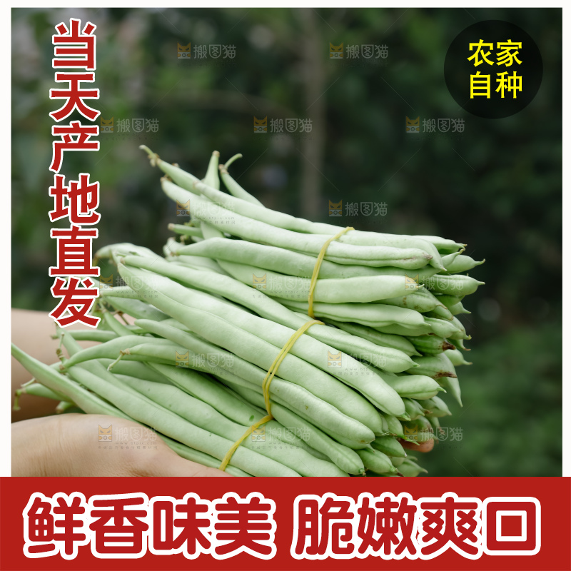 四季豆