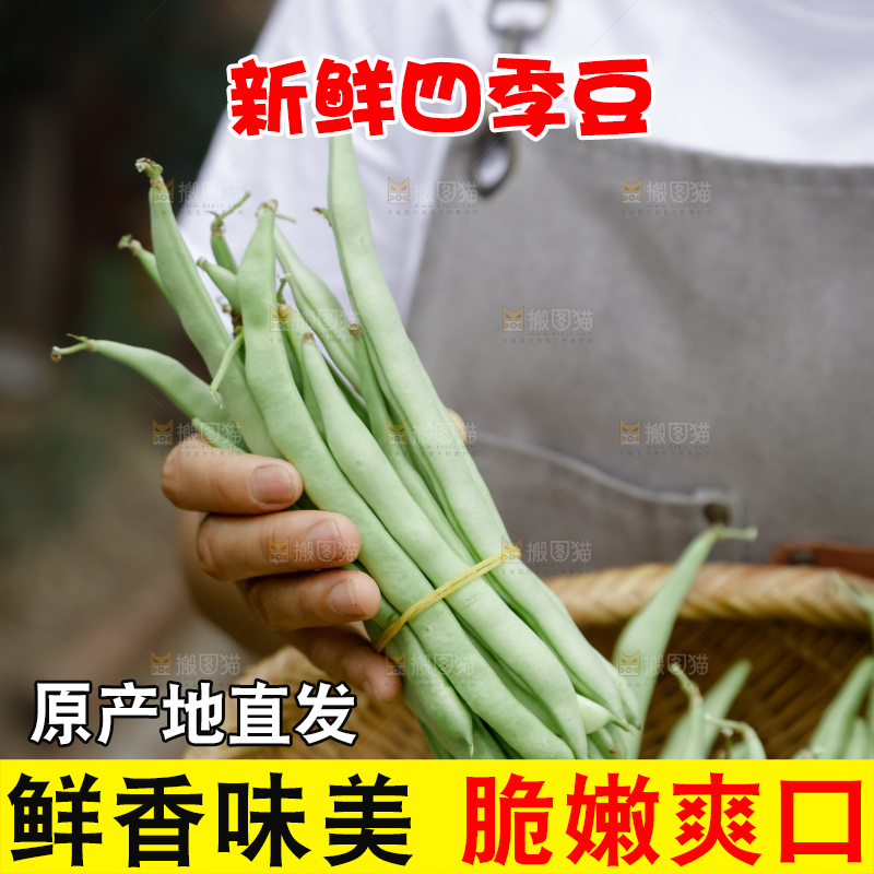 四季豆
