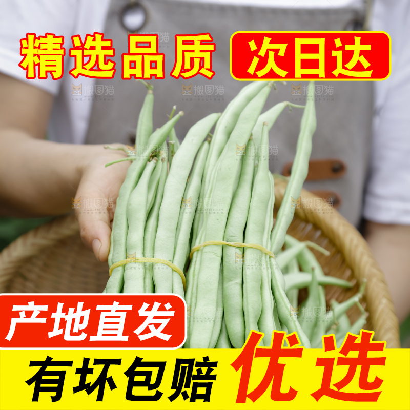 四季豆