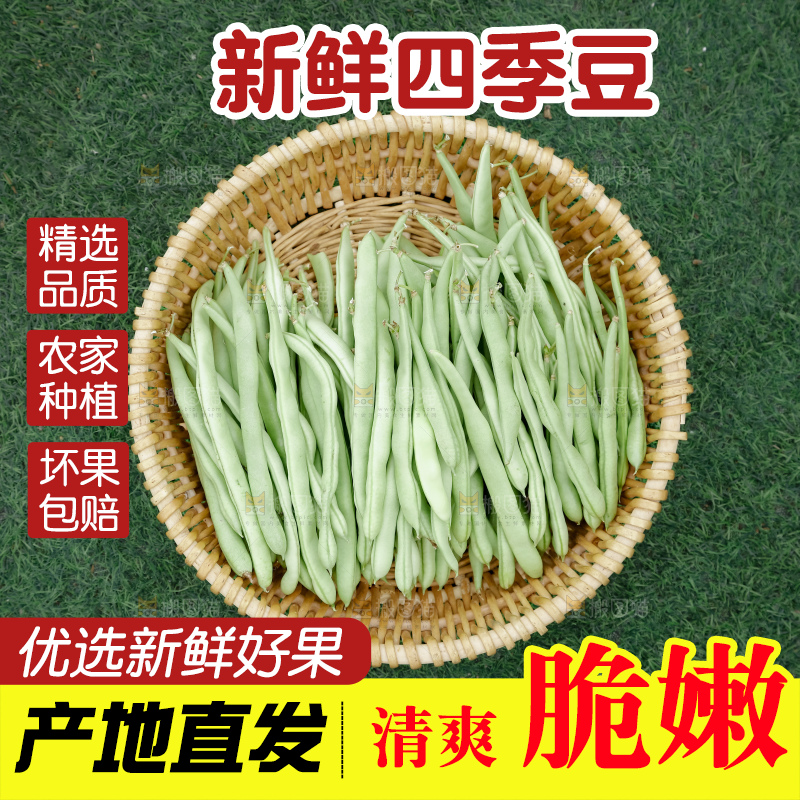 四季豆