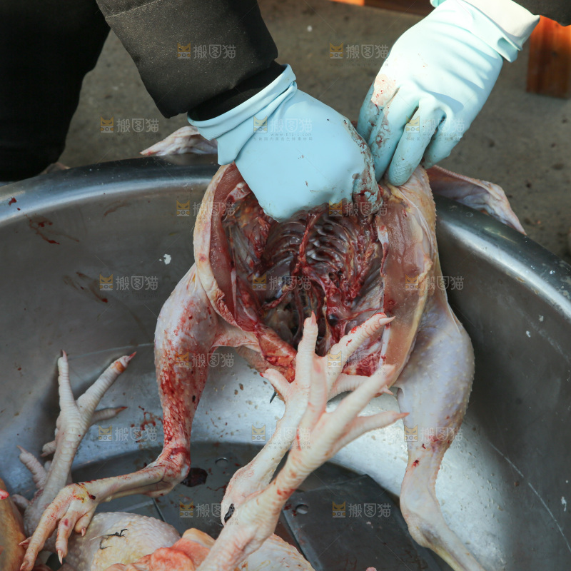 鸡肉