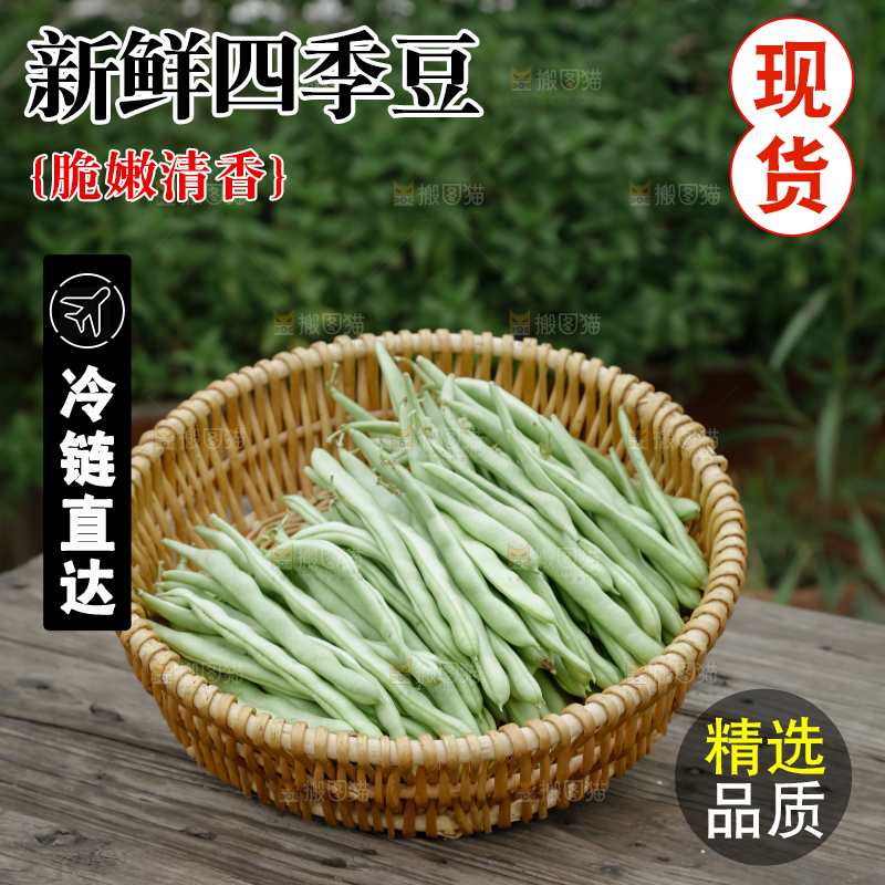 四季豆