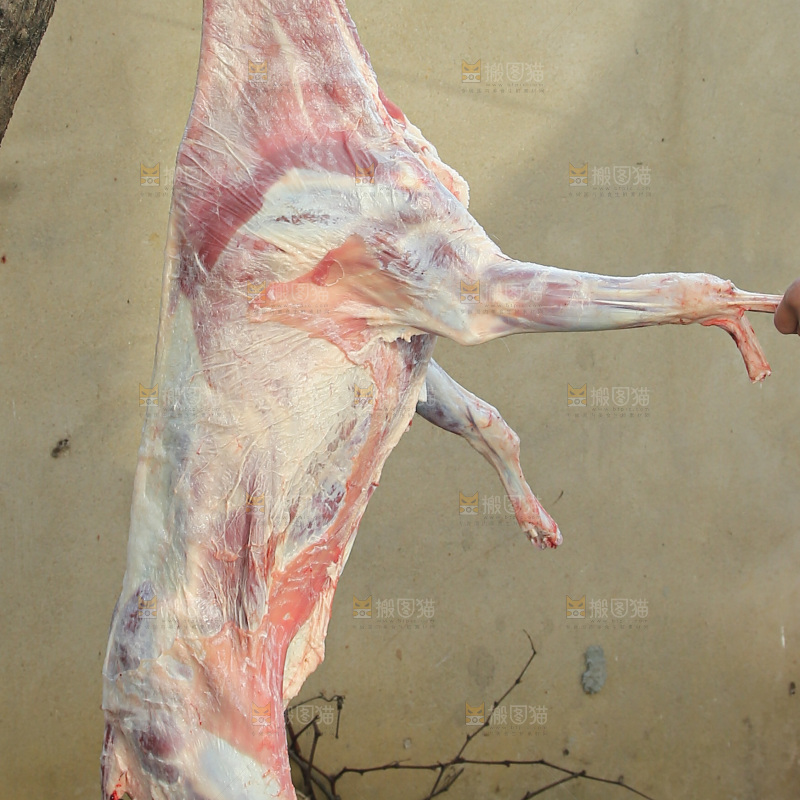 羊肉