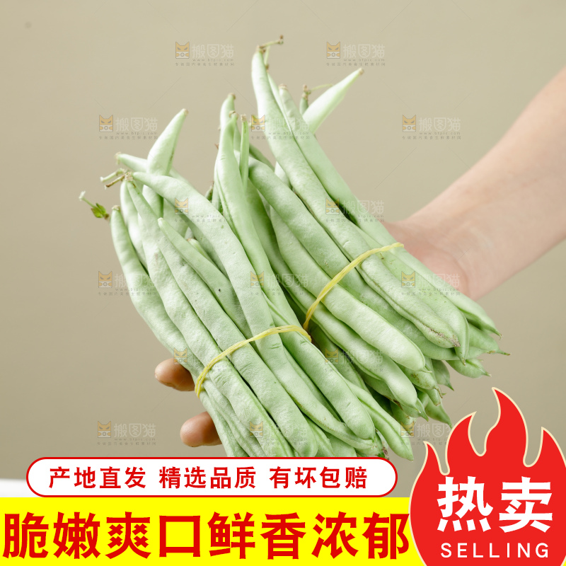 四季豆