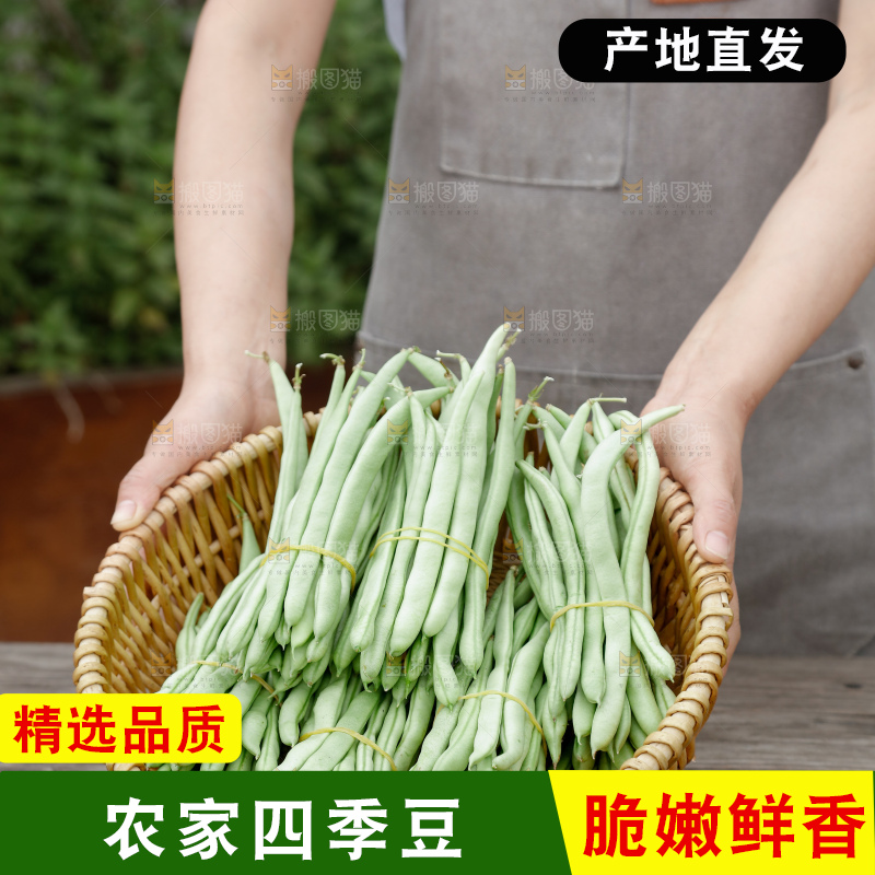 四季豆
