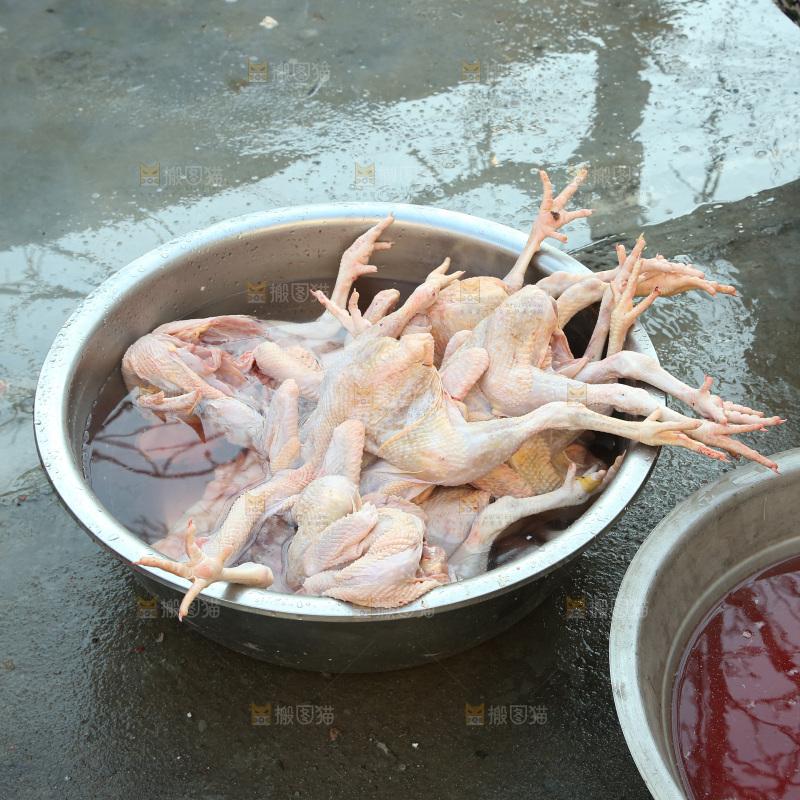 鸡肉