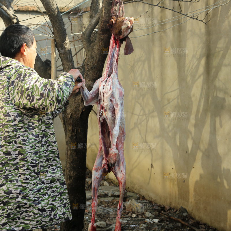 羊肉