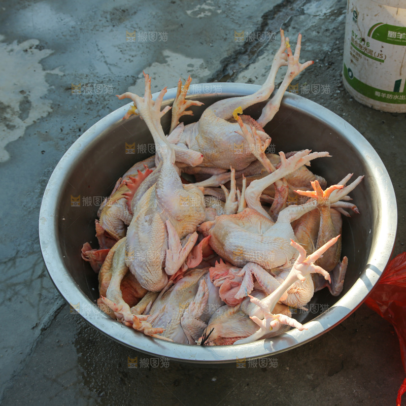 鸡肉