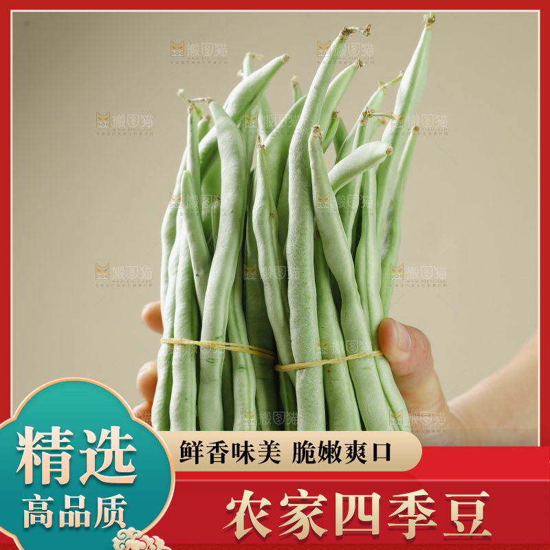 四季豆