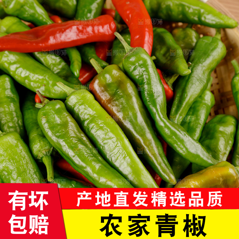青椒