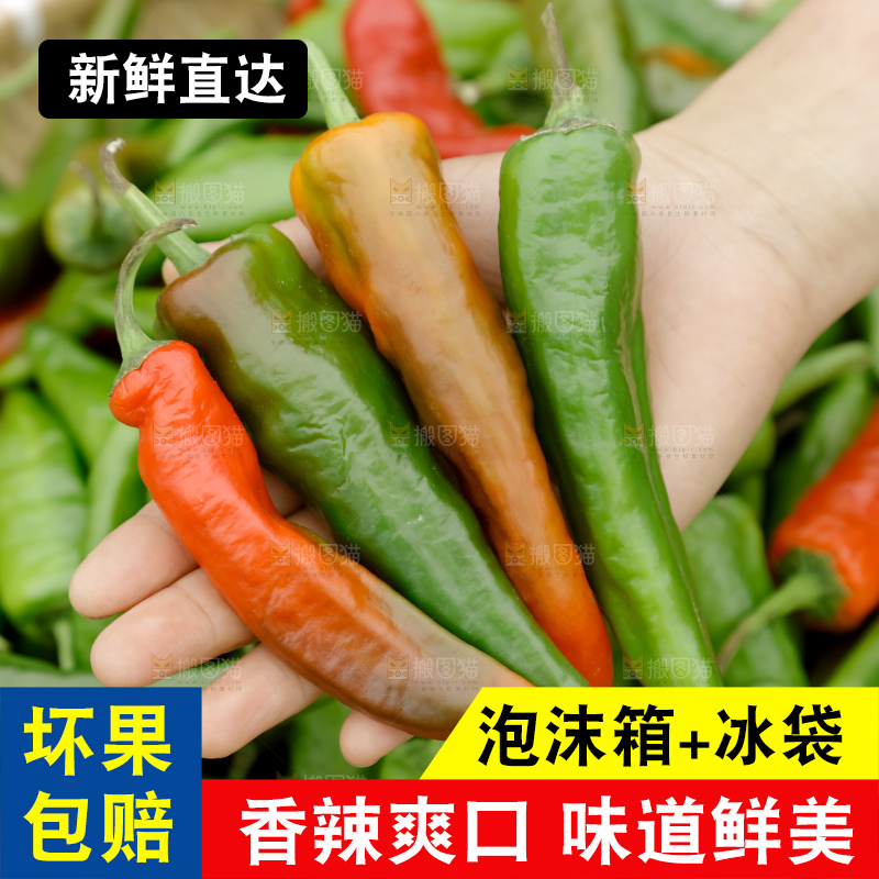 青椒