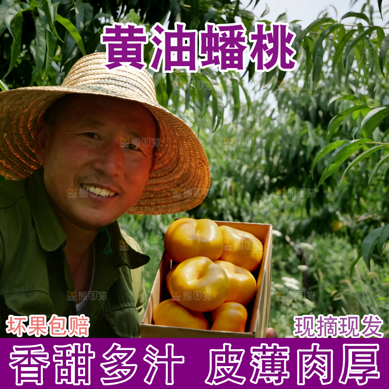黄油蟠桃