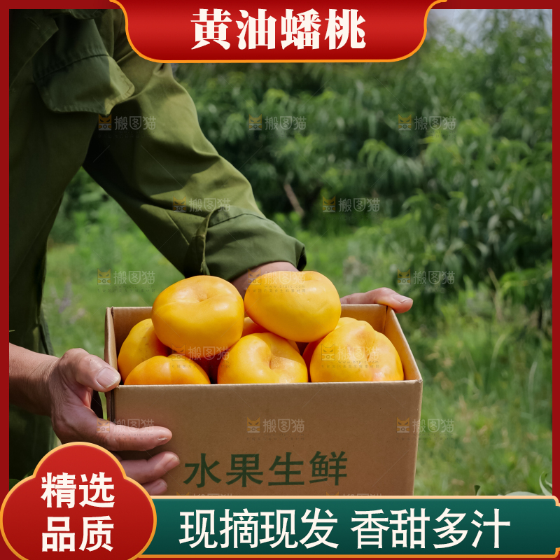 黄油蟠桃