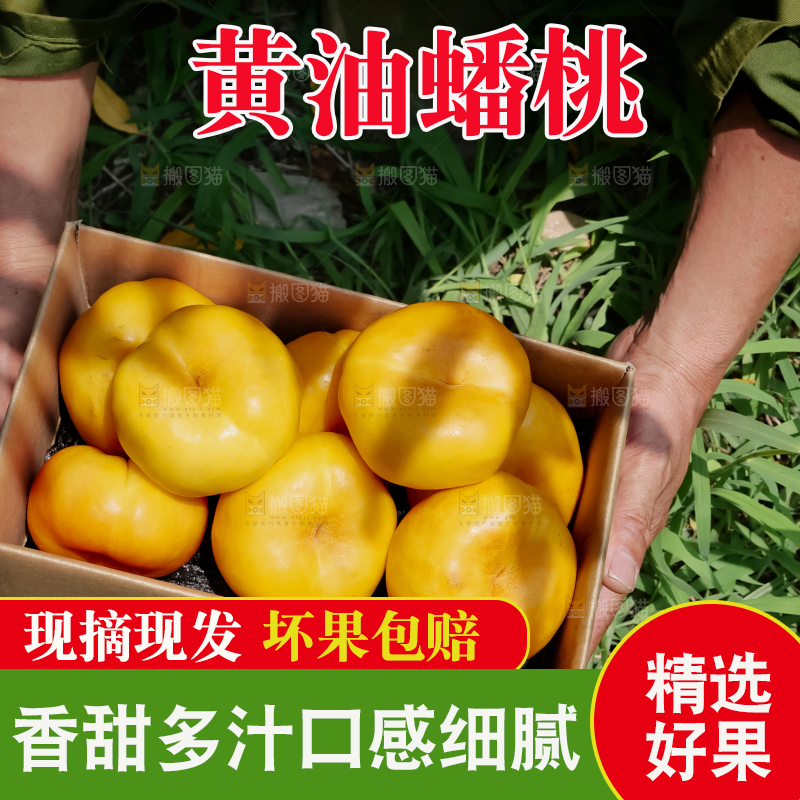 黄油蟠桃