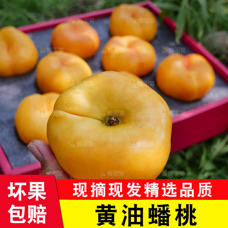 黄油蟠桃