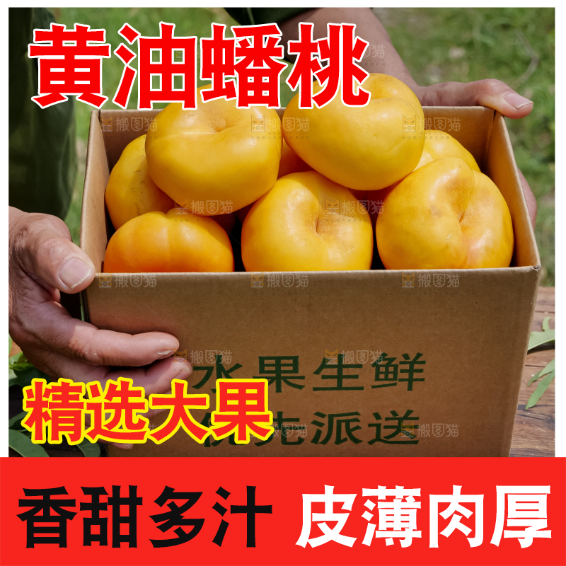 黄油蟠桃