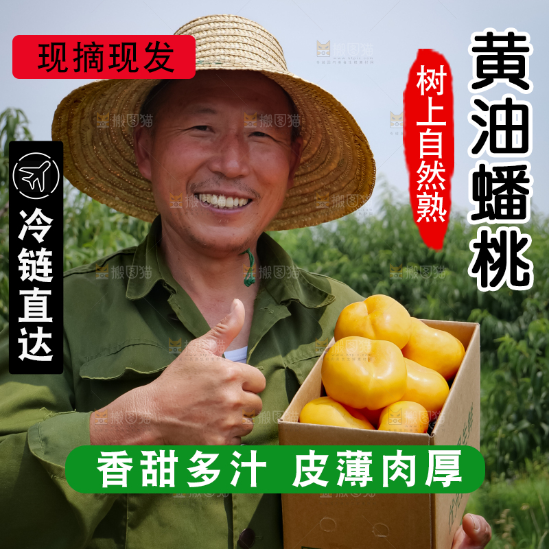 黄油蟠桃