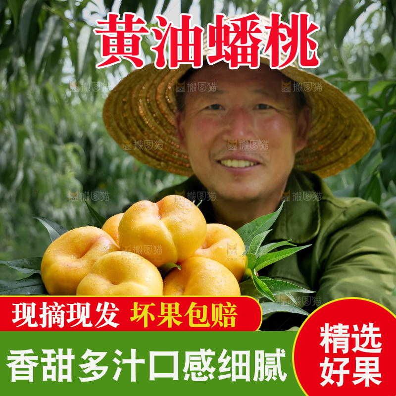 黄油蟠桃