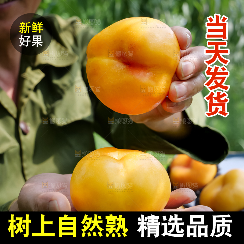 黄油蟠桃