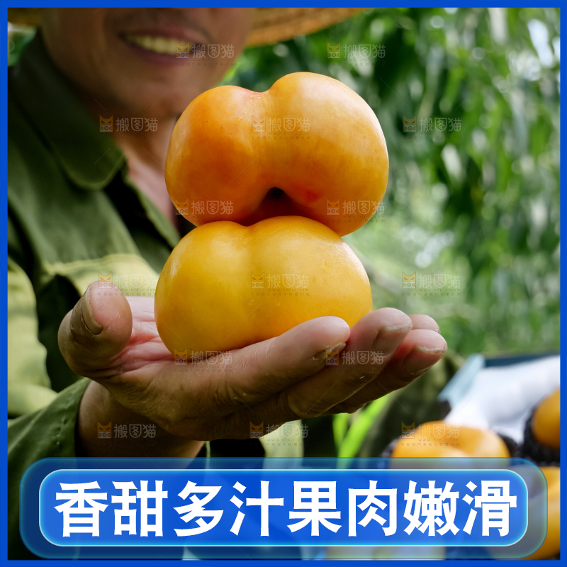 黄油蟠桃