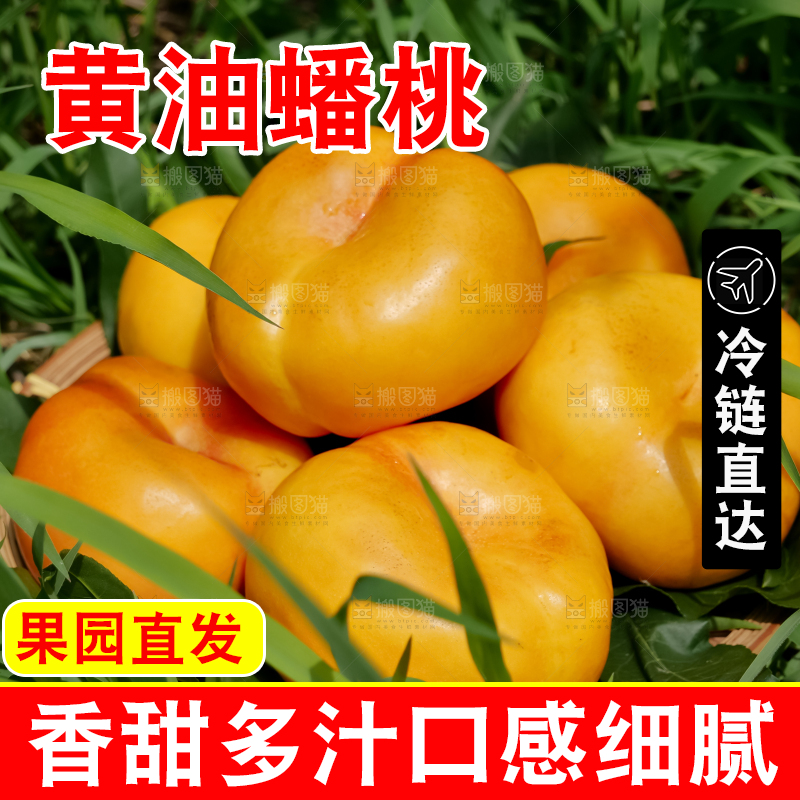 黄油蟠桃
