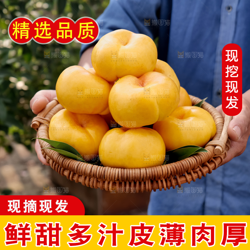 黄油蟠桃