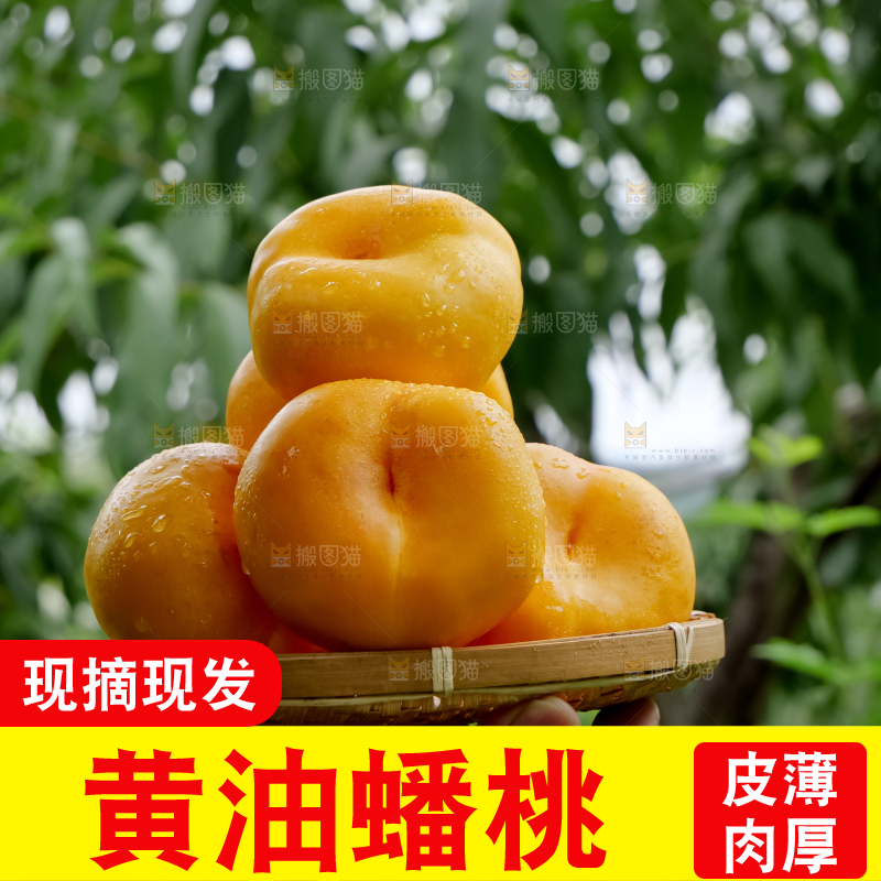 黄油蟠桃