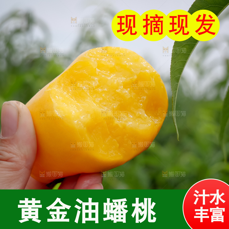 黄油蟠桃