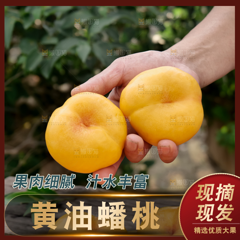黄油蟠桃