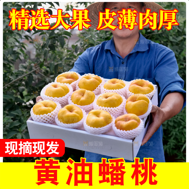 黄油蟠桃