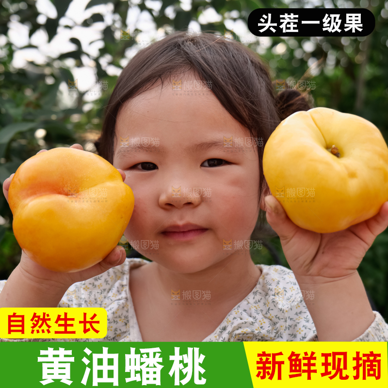 黄油蟠桃