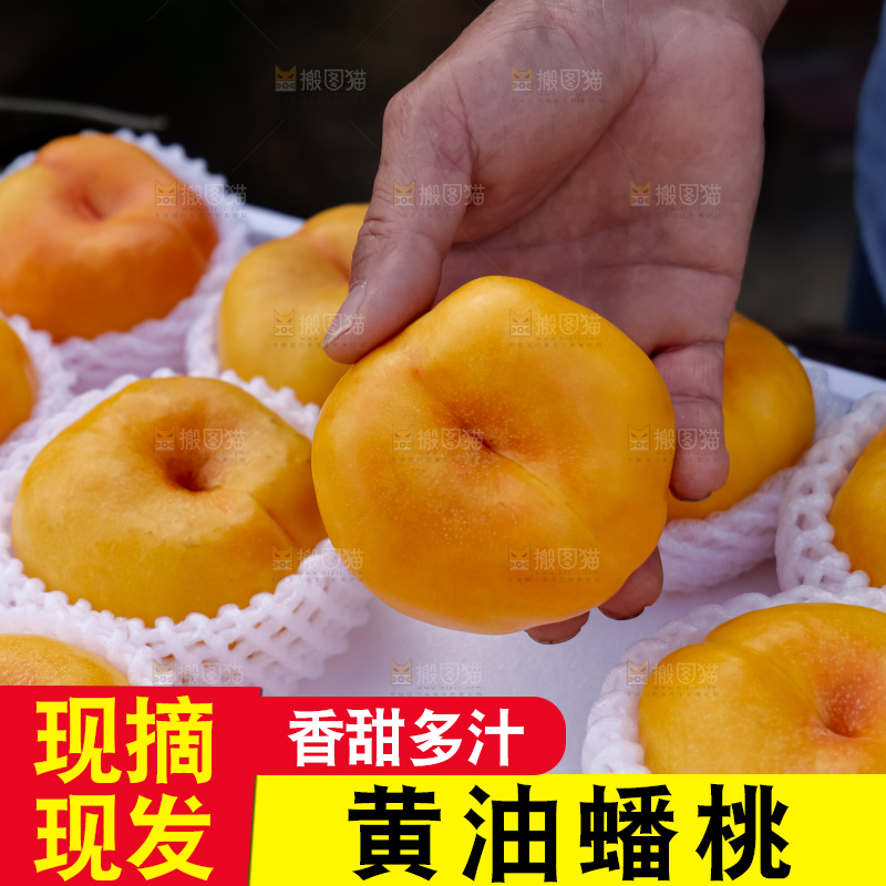 黄油蟠桃