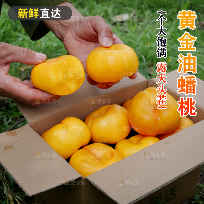 黄油蟠桃