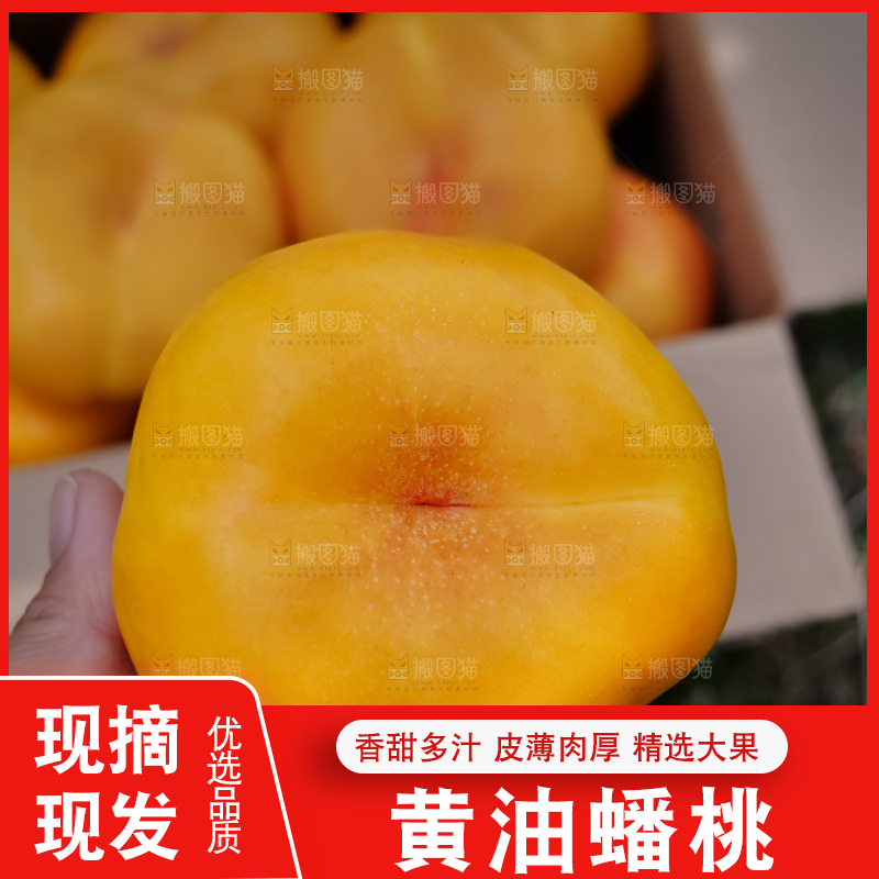 黄油蟠桃
