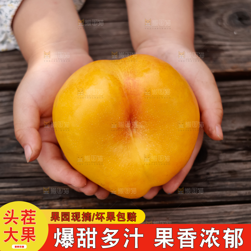 黄油蟠桃