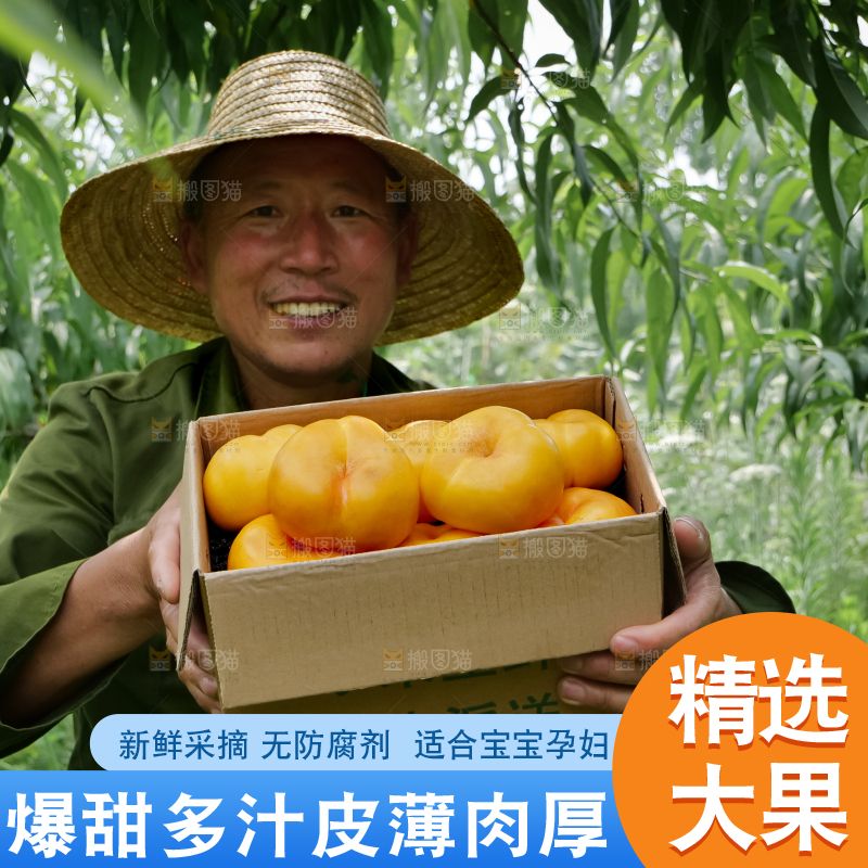 黄油蟠桃