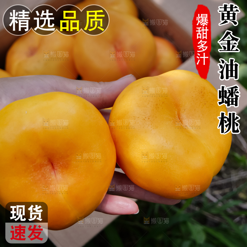 黄油蟠桃