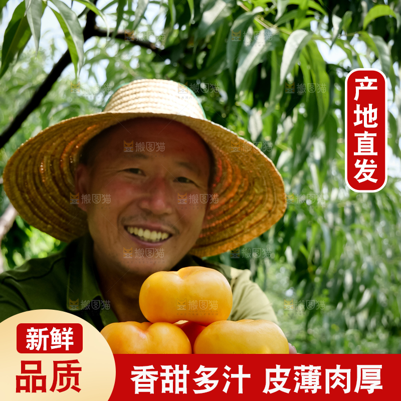 黄油蟠桃